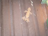 051-DSCF0334.jpg.small.jpeg