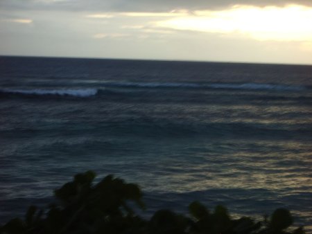 234-IMGP1046.jpg.medium.jpeg